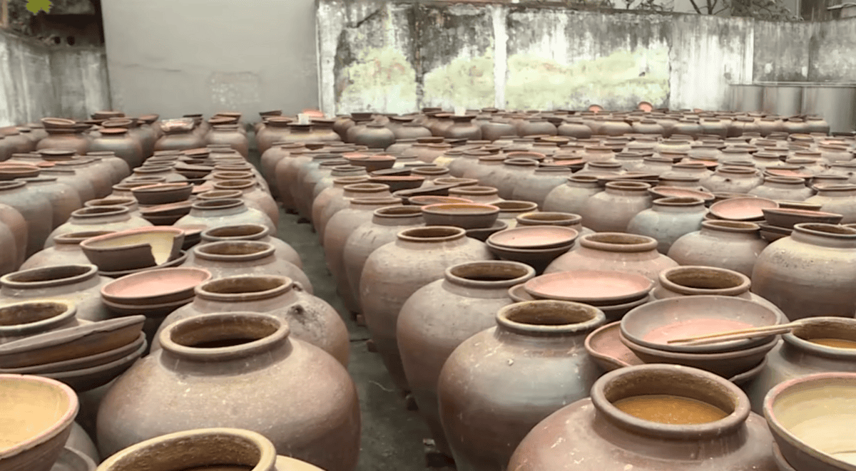 Tương bần được ủ trong chum
